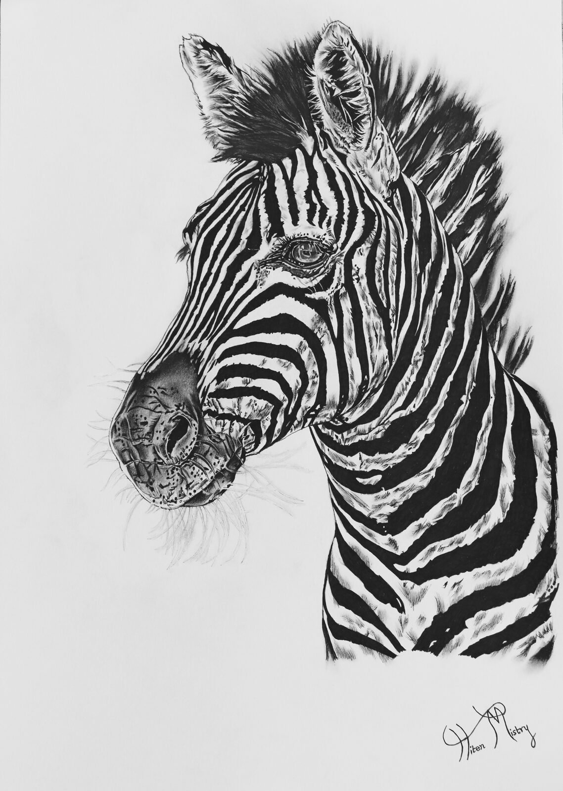 Bold Pattern