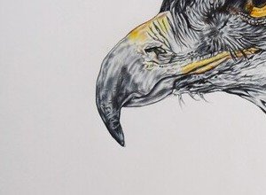 Focused Instinct - detail view