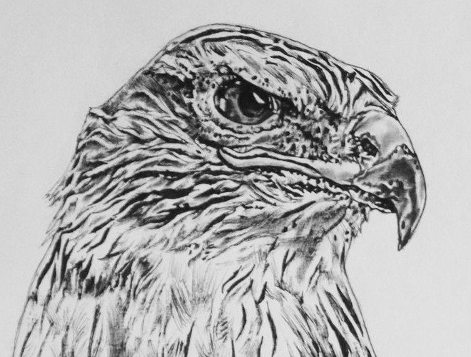 Majestic Freedom - detail view