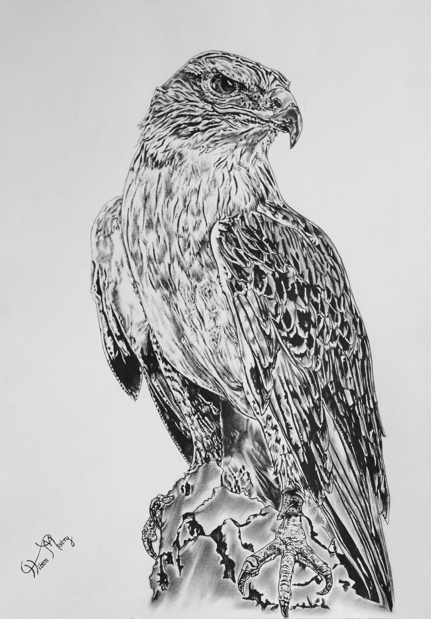 Majestic Freedom