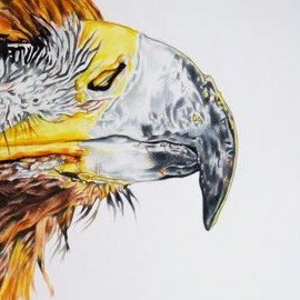 Majestic Gaze - detail view
