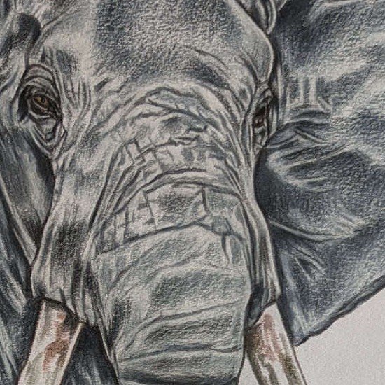 Quiet Strength - detail view