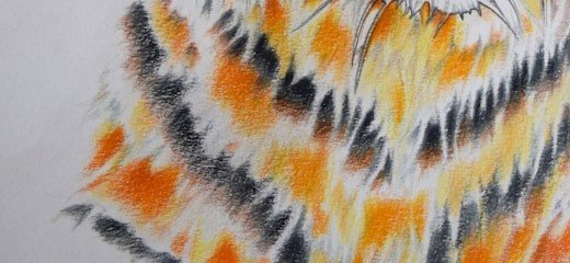 Untamed Gaze - detail view